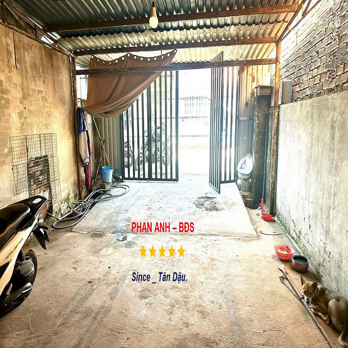 📢 Bán Nhà Mặt Phố Quận Thủ Đức – Chỉ 48 Triệu/m2 – Mặt Tiền Kinh Doanh Đắt Giá! - Ảnh 3